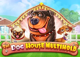 joyboy168 ทางเข้า The Dog House Multihold ทดลองเล่นฟรี