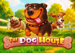 joyboy168 ทางเข้า The Dog House ทดลองเล่นฟรี